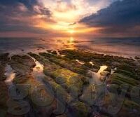 湖北足球比分-湖北足球比分，绿茵场上的荣耀与梦想交响曲