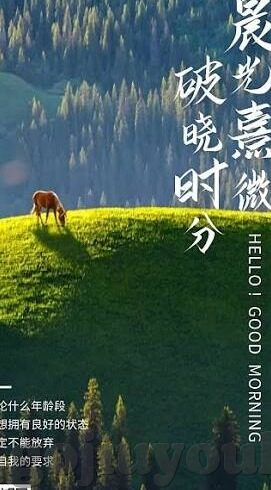手机足球比分直播间-手机足球比分直播间，指尖上的足球狂欢，解锁观赛新体验