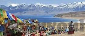 足球大营家比分-深度剖析，足球大营家比分背后的数据密码与战术博弈