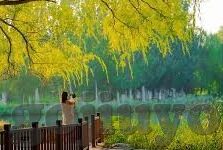 足球预测比分-足球预测比分，艺术与科学的交融